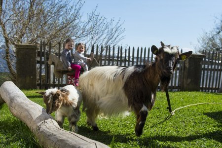 Urlaub mit Kleinkind auf dem Bauernhof in Südtirol