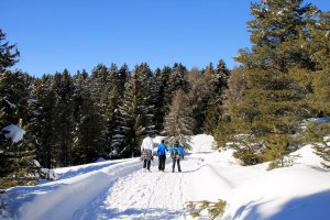 Winterwandern und Schneeschuhwandern am Rittner Horn