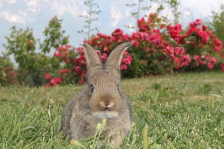 Ostern in Südtirol